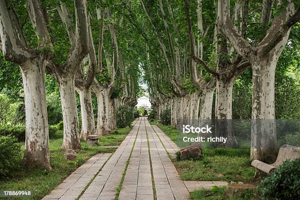 Boulevard - Fotografias de stock e mais imagens de Ao Ar Livre - Ao Ar Livre, Bulevar, China