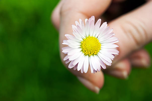 istock woman holding flower 178870711