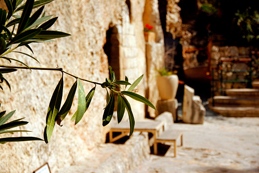 The captivating Garden Tomb is a must during for pilgrims visiting the Holy Land
