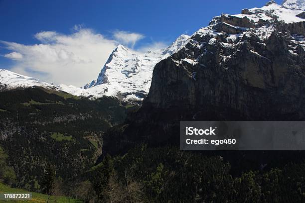 Foto de Suíça e mais fotos de stock de Alpes europeus - Alpes europeus, Cabeça da flor, Cena Não-urbana