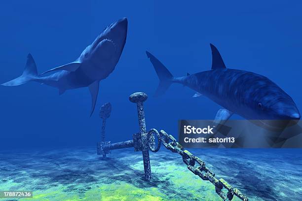 Zwei Sharks Im Karibischen Meer Stockfoto und mehr Bilder von Anker - Anker, Bahamas, Blau