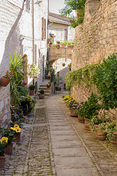 istock Alley with flowers 178872459