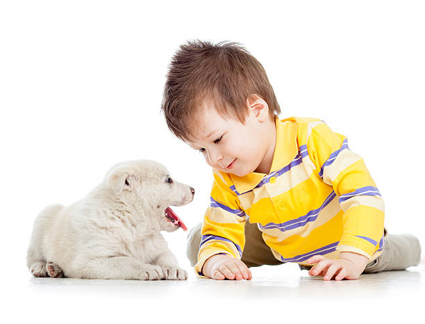 istock child boy playing with puppy dog 178872639