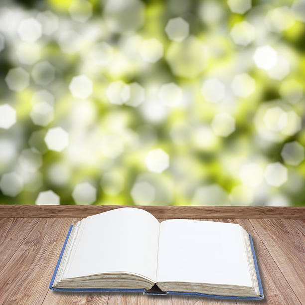 istock Open book on wooden planks 178873013