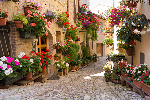 Medieval alley with flowers, Spello