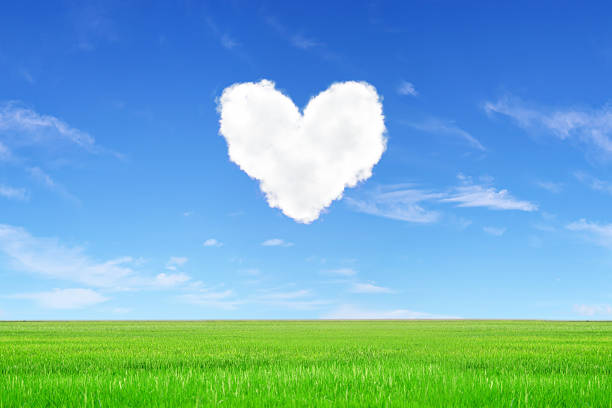 istock cloud heart shape with blue sky and green grass 178873194
