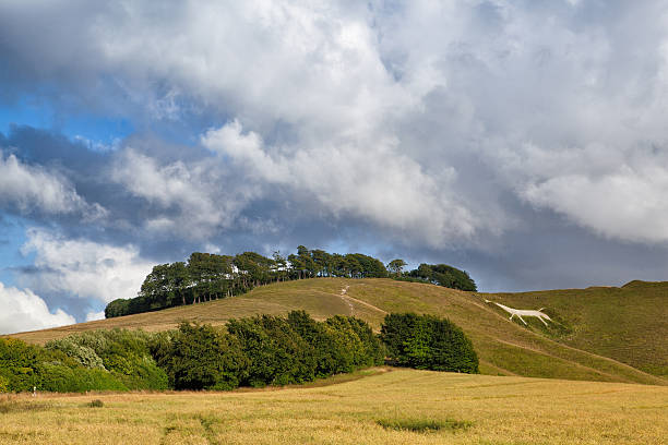 istock White horse on the hill 178874473