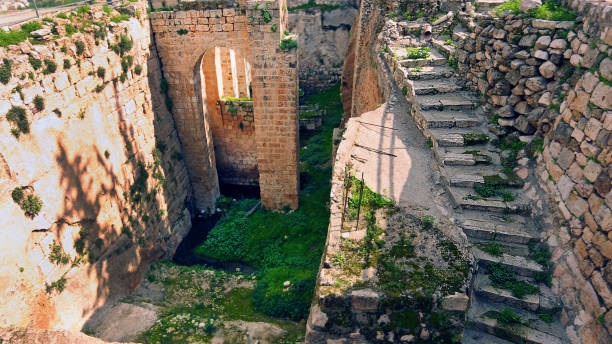 70+ Piscina Di Betzaeta Foto stock, immagini e fotografie royaltyfree