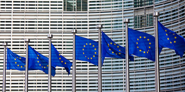 A row of European flags in front of a building stock photo