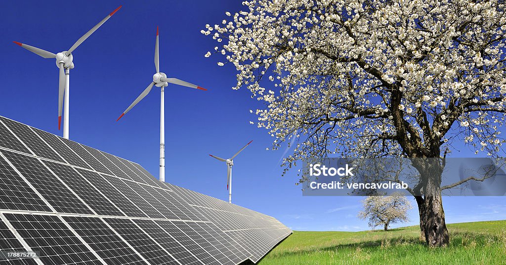 concepts d'énergie - Photo de Arbre libre de droits