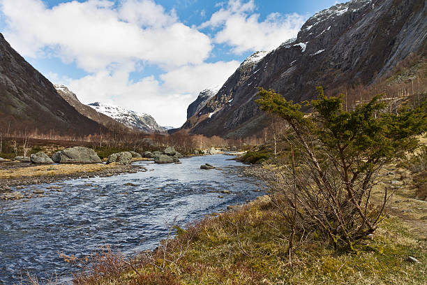 田園ヴァレイ、riveron ノルウェー - runnel ストックフォトと画像