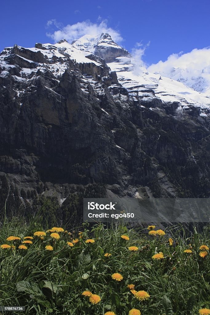 Alpi svizzere - Foto stock royalty-free di Alpi