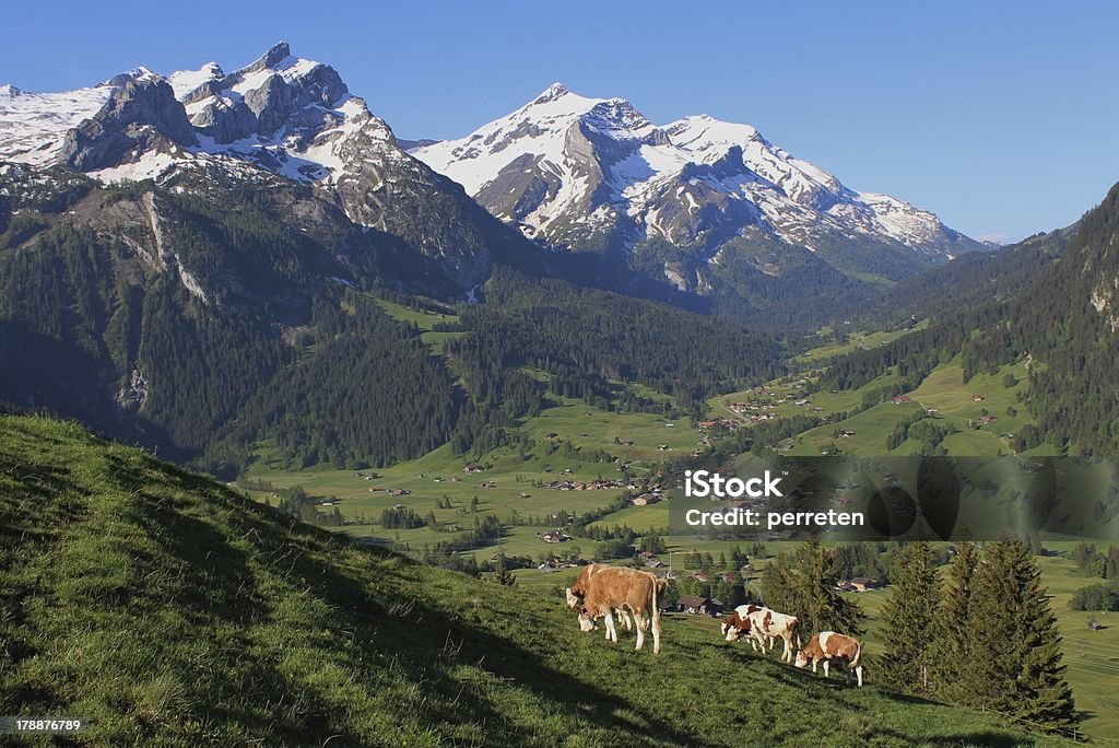 Schöne Landschaft in Gstaad - Lizenzfrei Alpen Stock-Foto