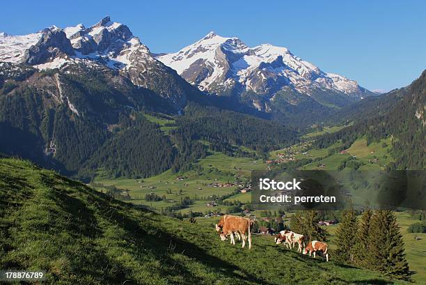 Photo libre de droit de Beau Paysage Près De Gstaad banque d'images et plus d'images libres de droit de Agriculture - Agriculture, Alpes européennes, Bovin