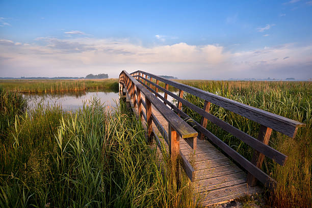 istock wooden bridge for bicycles over river 178876893