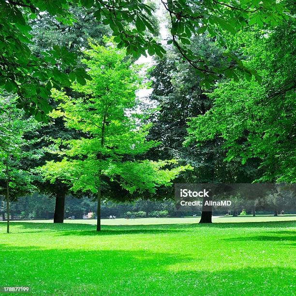 Sommerpark Stockfoto und mehr Bilder von Baum - Baum, Elektrische Lampe, Fotografie