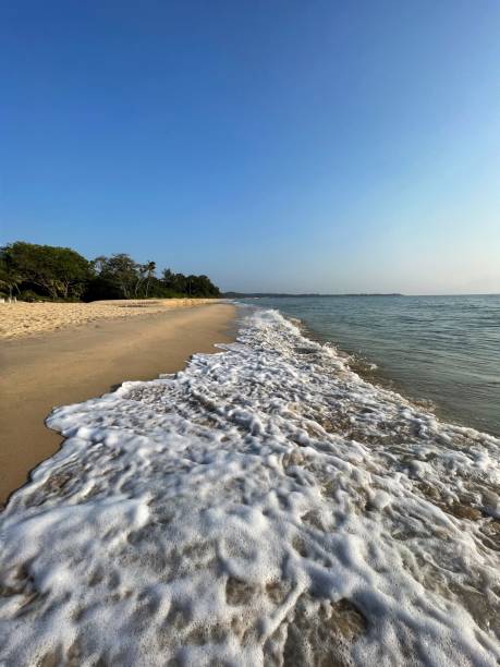 istock scenic view of Desaru beach 1788775846