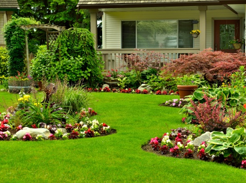 A beautifully arranged flower garden and residential yard.