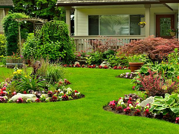 Manicured Yard stock photo