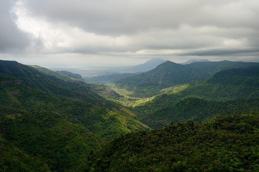 Black River Gorge Viewpoint with Lush Green Rainforest Valley in Mauritius