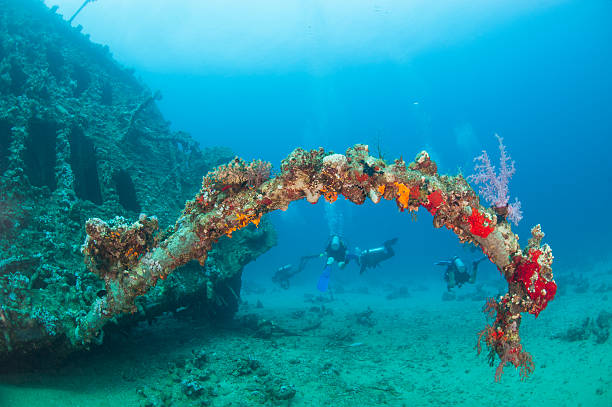 istock Underwater shipwreck in a tropical sea 178877856