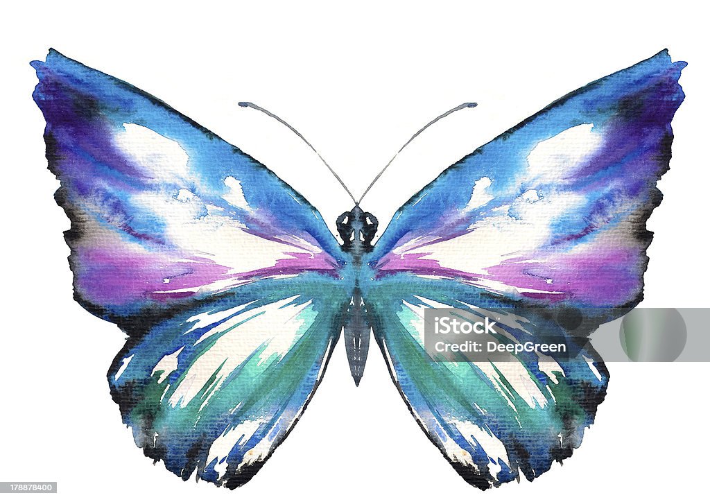 Butterfly Colorful butterfly watercolor painted isolated on white background Butterfly - Insect stock illustration