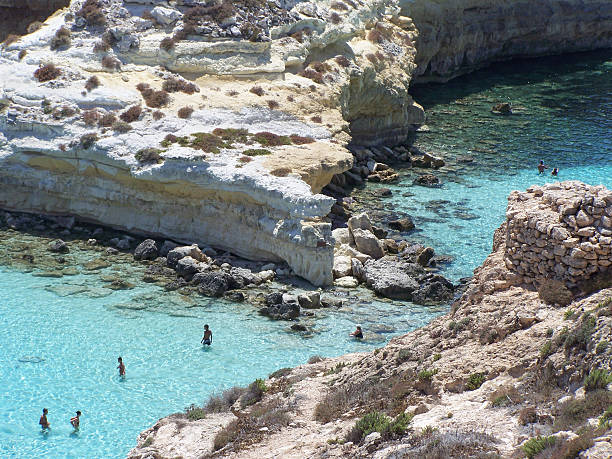 particular de coelhos Ilha. Lampedusa- Sicília - fotografia de stock