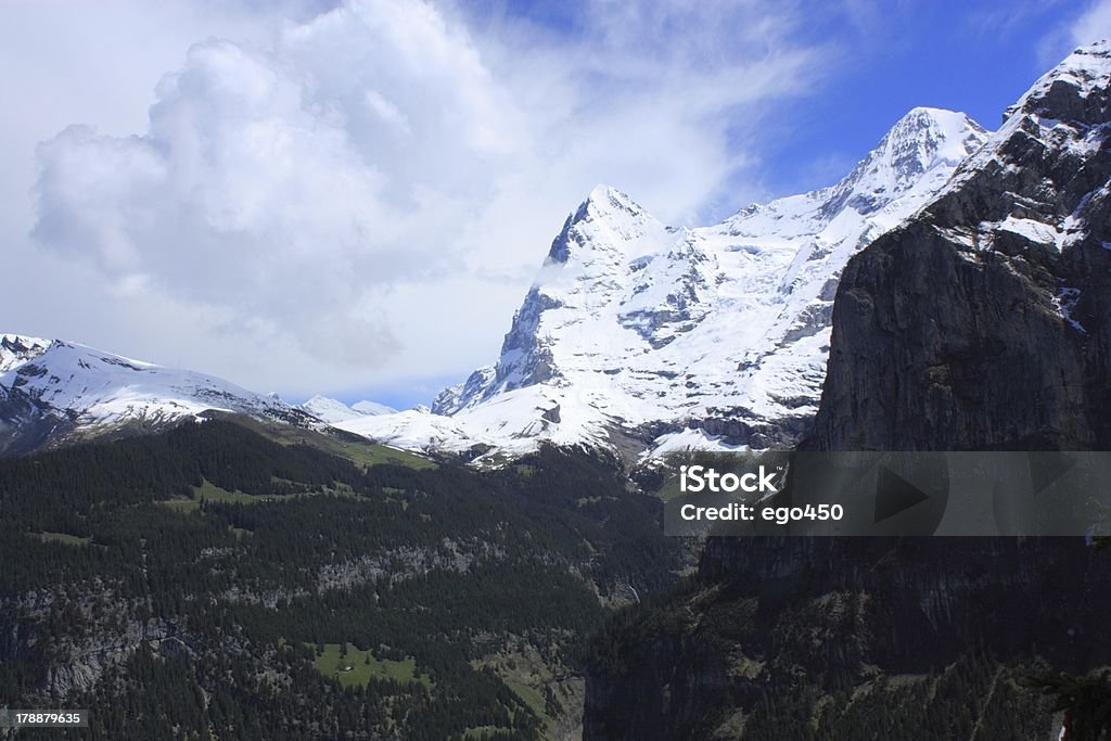 Alpes suizos - Foto de stock de Acantilado libre de derechos