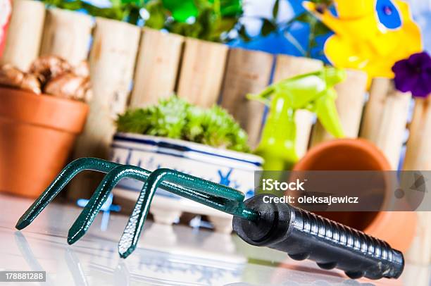 Beautiful Gardening Composition Stock Photo - Download Image Now - Botany, Close To, Color Image