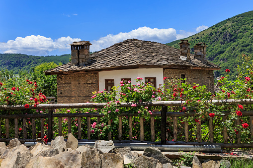 View of the Mountain Cottage from Vegetable Garden