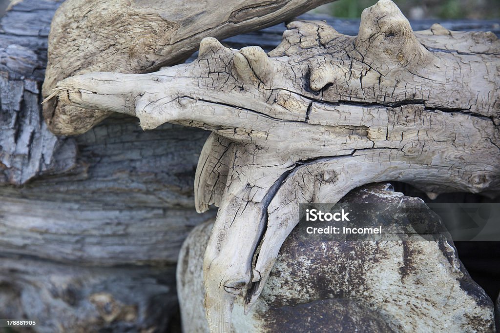 Driftwood-Muster - Lizenzfrei Teilabschnitt Stock-Foto