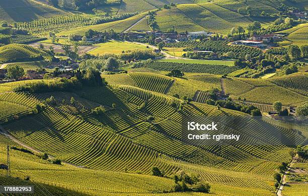 Green Hills And Vineyards Of Piedmont Italy Stock Photo - Download Image Now - Aerial View, Langhe, Above