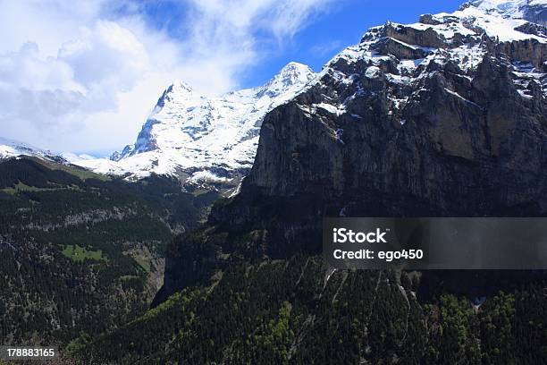 Alpi Svizzere - Fotografie stock e altre immagini di Albero - Albero, Alpi, Ambientazione esterna