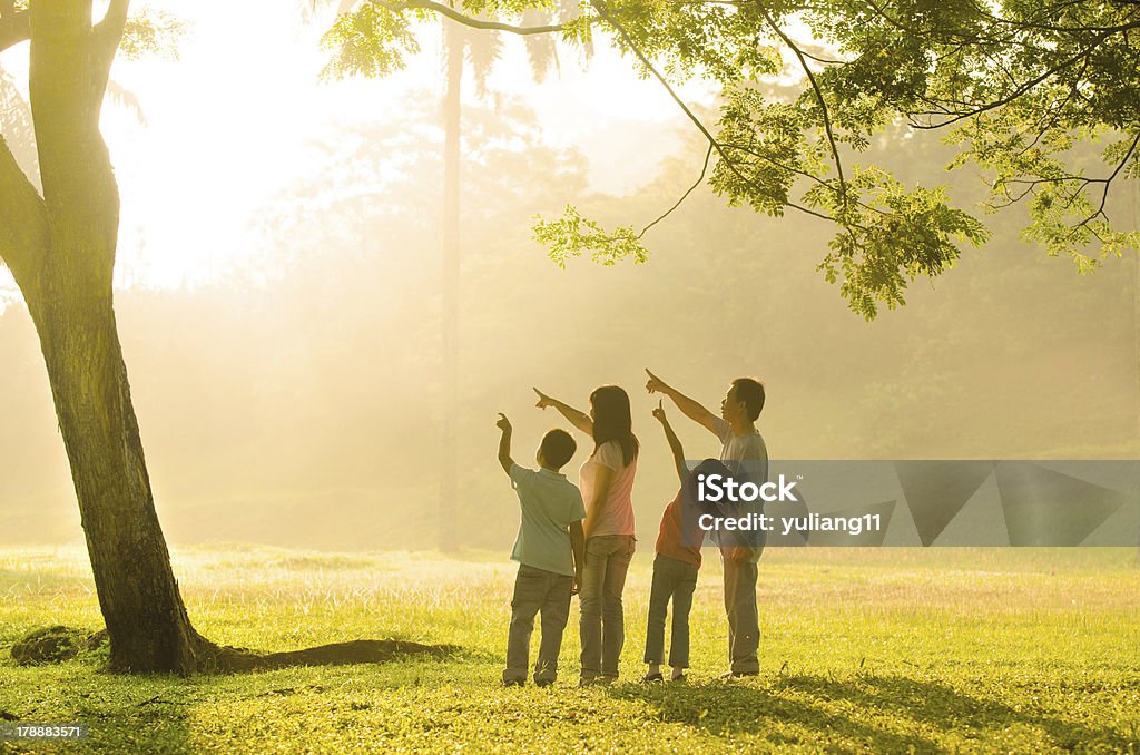 an asian family pointing an asian family pointing to somewhere during a beautiful sunrise, backlight Adult Stock Photo