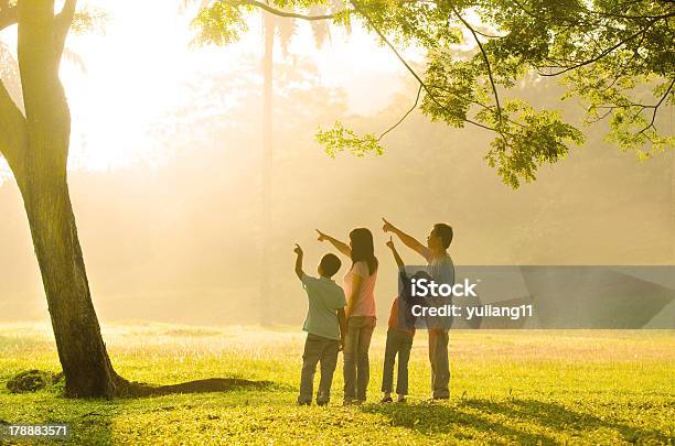 An Asian Family Pointing Stock Photo - Download Image Now - Adult, Back Lit, Beautiful People