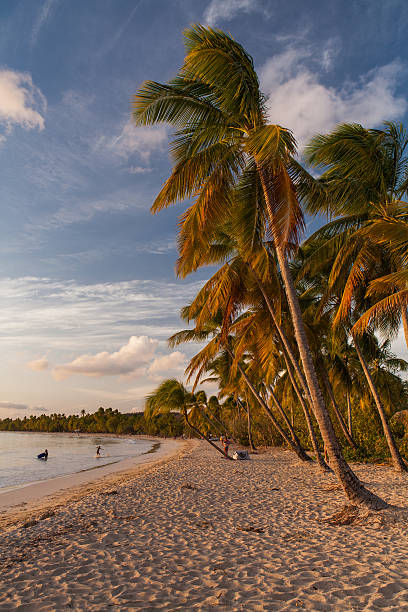 Beach of Saint-Anne, Martinique stock photo