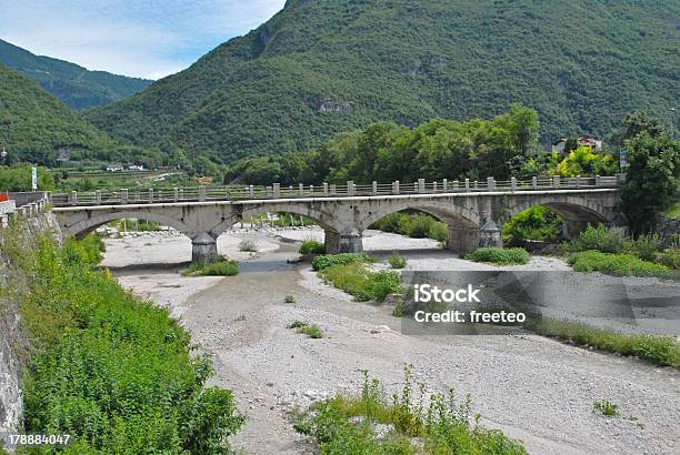 River Streambett Stockfoto und mehr Bilder von Ausgedörrt - Ausgedörrt, Bach, Baum