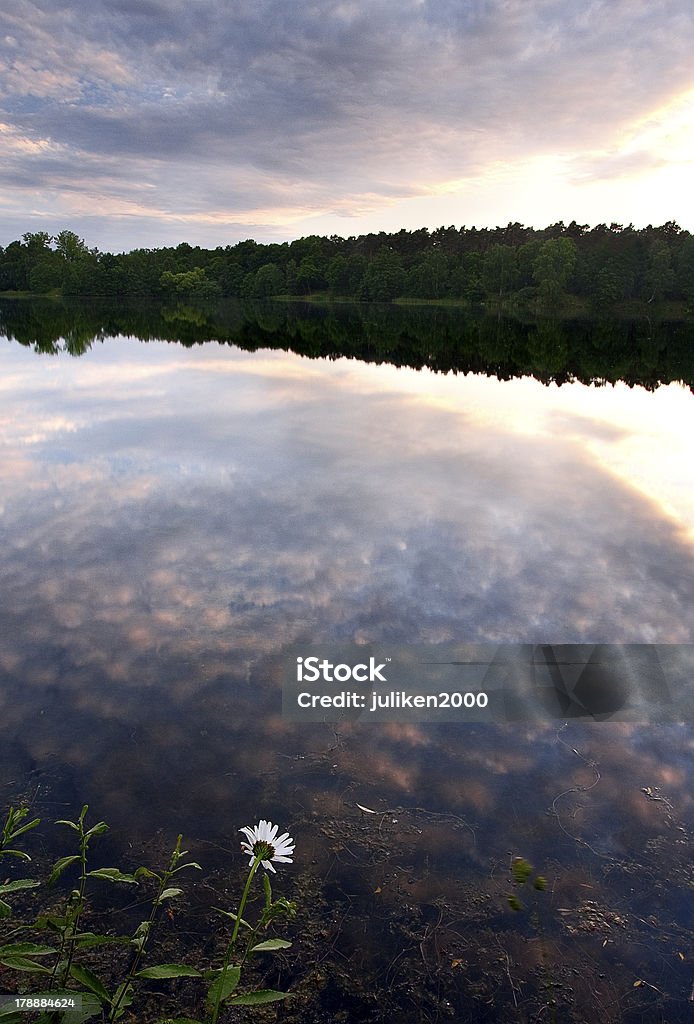 Lago tranquilo ao nascer do sol - Foto de stock de Cena de tranquilidade royalty-free