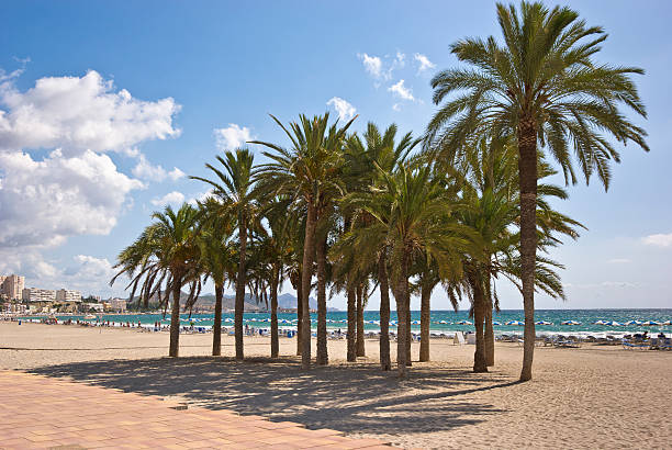 istock Beach at Villajoyosa 178885168