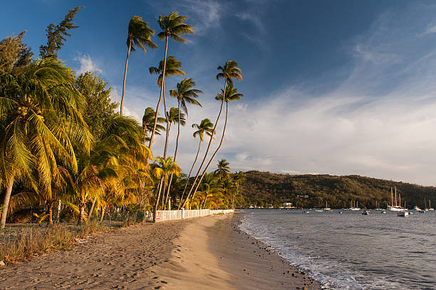 Grande Anse d'Arlet, Martinique, France stock photo