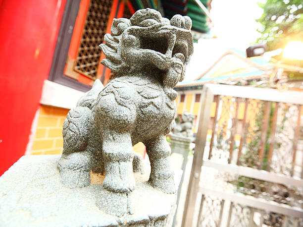 pierre lion chinois - stone statue animal imitation asia photos et images de collection