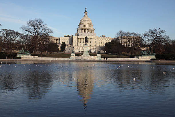 istock Capitol, Washington, USA 178885929