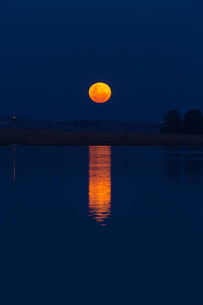 istock Supermoon rise over Rietvlei Dam at Pretoria 3 178886401