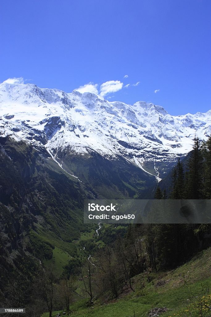 Switzerland Swiss Alps skyline near Interlaken in Europe. Aster Stock Photo