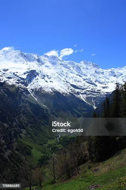 Switzerland Stock Photo - Download Image Now - Aster, Cliff, Eiger