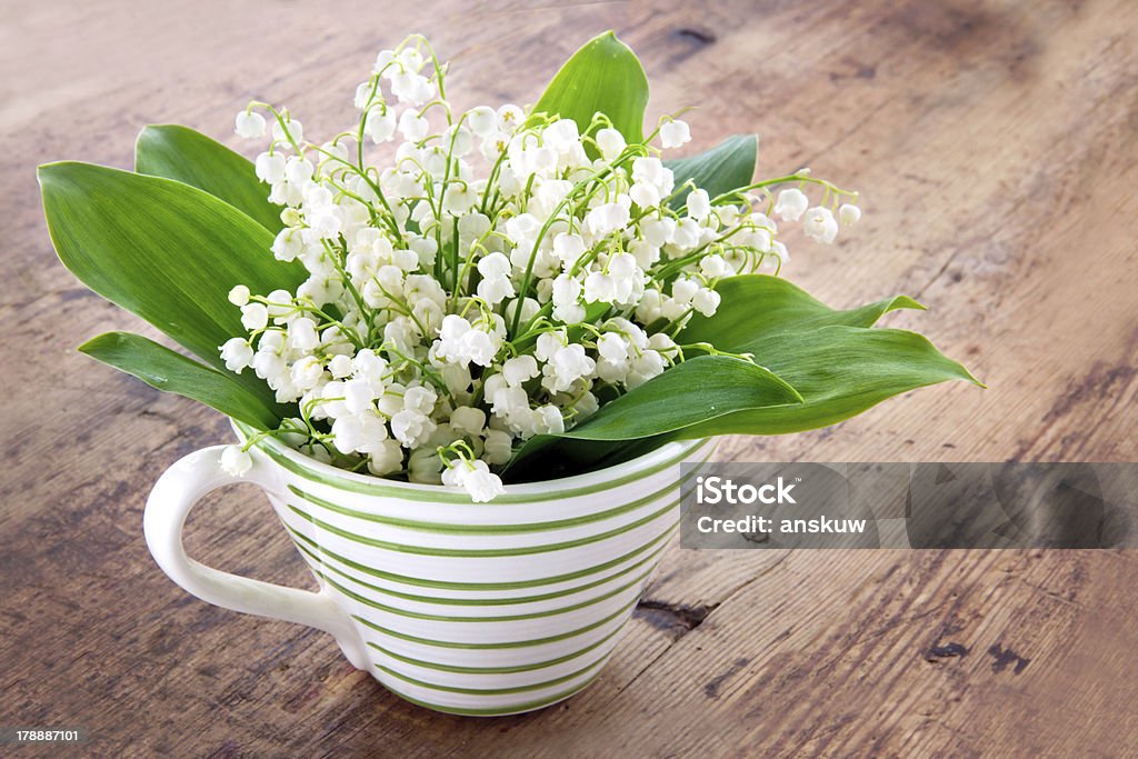 Bouquet lily of the valley Bouquet of lily of the valley spring flowers in a green striped cup on wooden rustic vintage background Bouquet Stock Photo