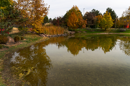 An aerial photograph of a pond with a small dock reflecting the trees in the water.  There are pumpkins around the base of the trees and the sky is showing the colors of sunset.