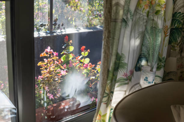 istock sunny day in patio 1788881619