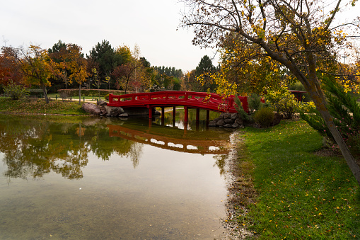 Red wooden bridge in a park