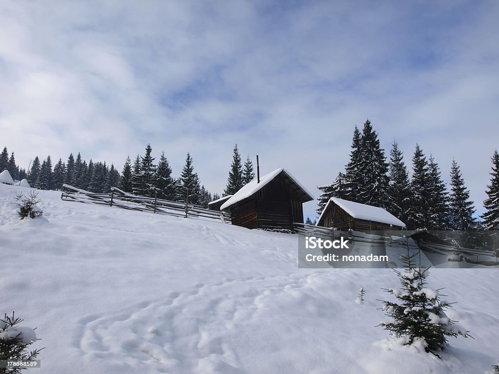 Winterscape em Carpathians - Royalty-free Abeto Foto de stock